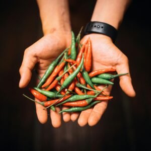 A close-up of hands holding vibrant red and green chili peppers, showcasing freshness.