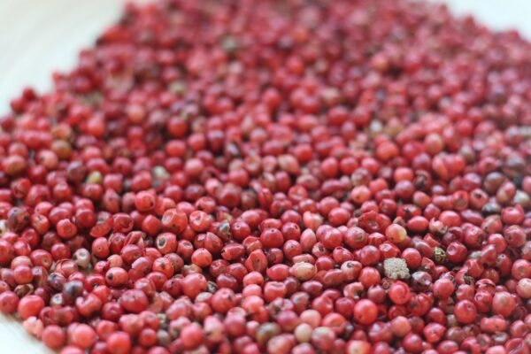 pink pepper, pepper, peppercorn, pink, spice, red, cooking, food, herb, essential oil, ingredients, red food, red cooking, pink pepper, pink pepper, pink pepper, pink pepper, pink pepper