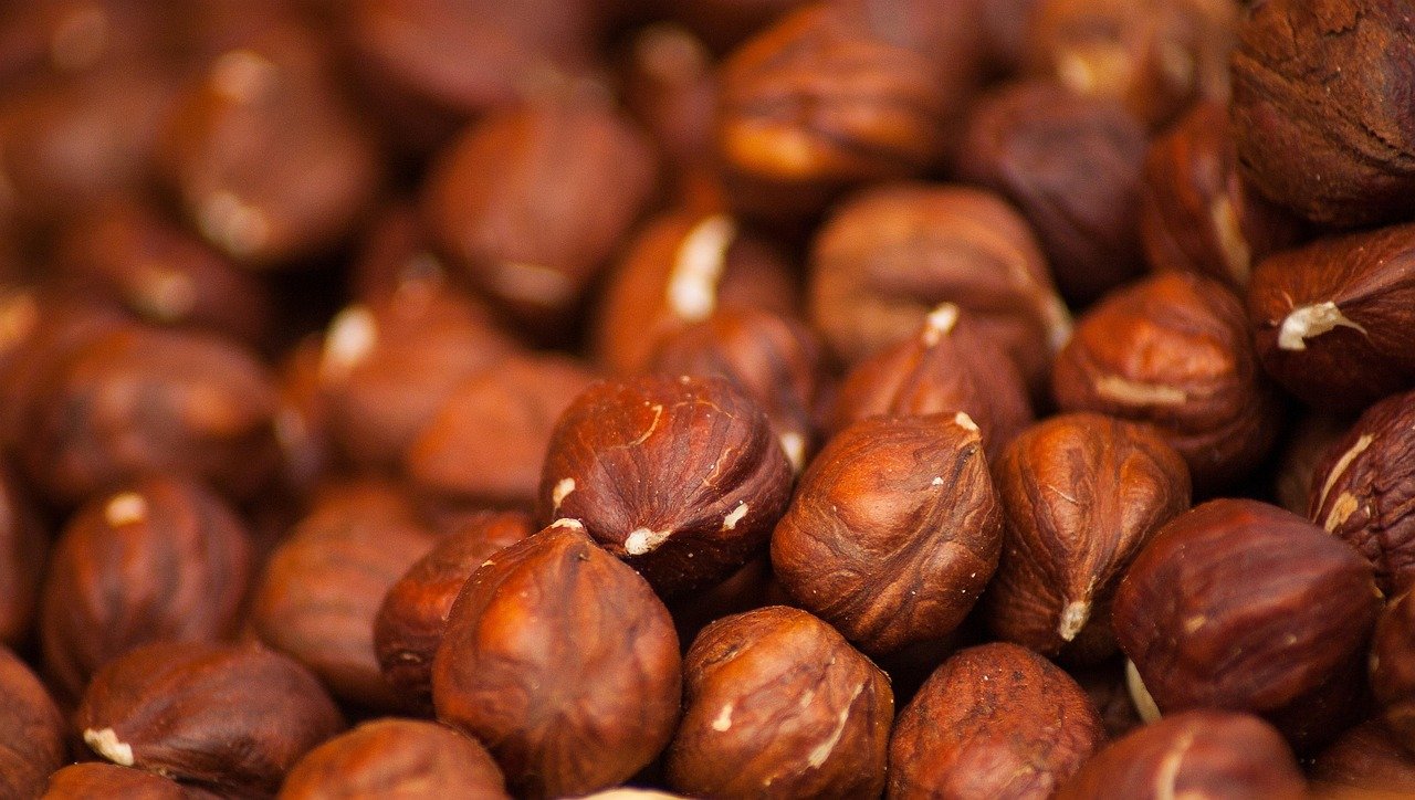 邦楽 Hazel Nuts Chocolate/Cute 03_TCHO_1440x1528_IOP_HazelNut