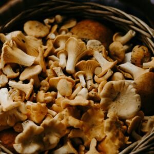 A close-up shot of fresh Chanterelle mushrooms in a woven basket, perfect for culinary uses.